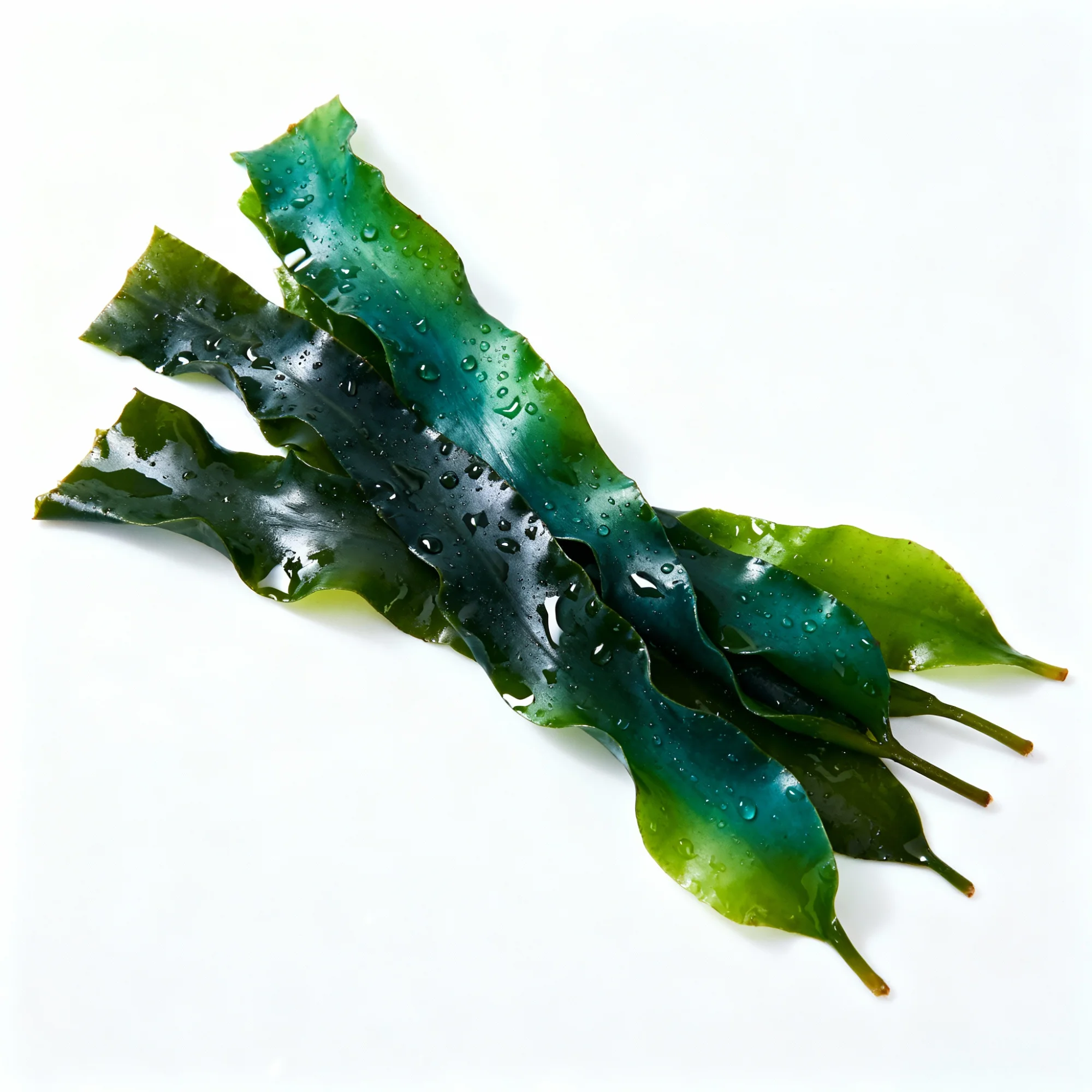 tomosalts使用効果